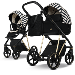 Poussette VIGO | Limited Edition Bee